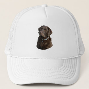 Casquette Portrait photo du chocolat Labrador