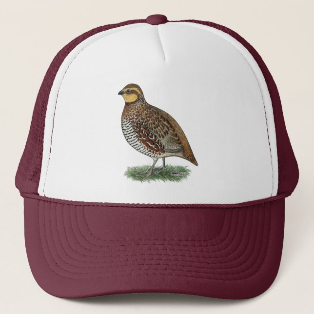 Casquette Poule de cailles (Devant)