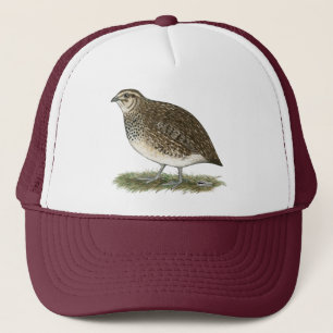 Casquette Poule de cailles de Coturnix