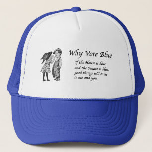 Casquette Pourquoi voter bleu en 2026