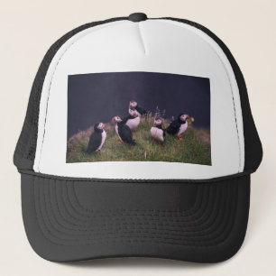 Casquette Puffins de l'Atlantique