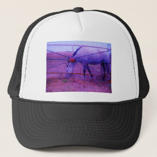 Casquette Purple Propriété Privée Horse