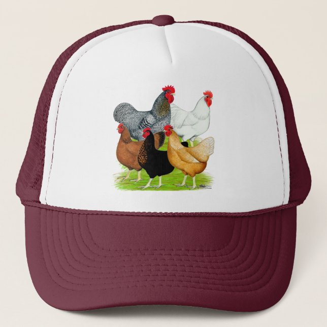 Casquette Quintette de poulet liée au sexe (Devant)