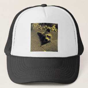 Casquette Raccoon ~ Visage d'un ange