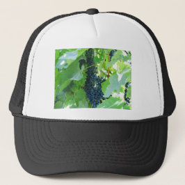 Casquette Raisins