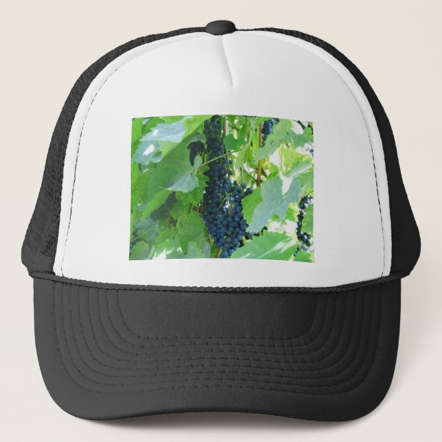 Casquette Raisins (Devant)
