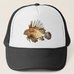 Casquette Rascasse volante