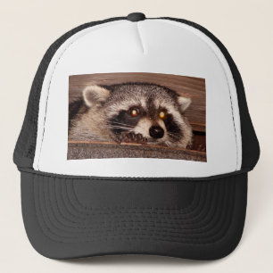Casquette Raton laveur