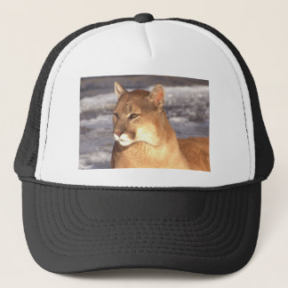 Casquette Repos de puma