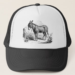 Casquette Rétros ânes personnalisés par âne domestique