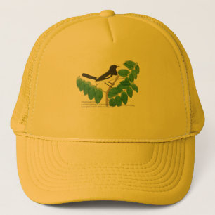 Casquette Robin à tarte orientale