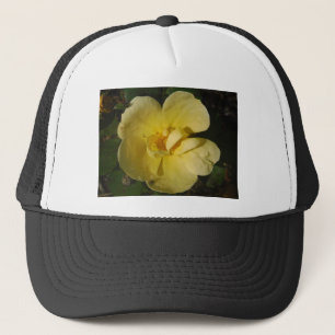 Casquette Rose jaune sauvage
