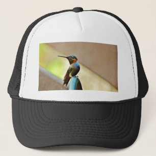Casquette Ruby perché et petit colibri vert
