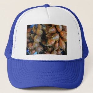 Casquette Salak [Fruit de serpent]