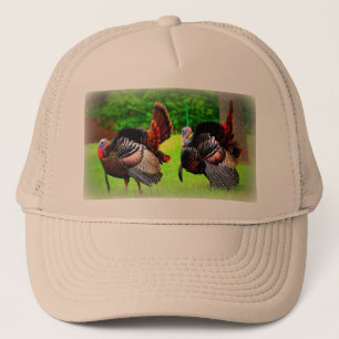 Casquette sauvage de la Turquie, casquette de