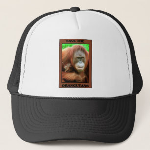 Casquette Sauvez les Orangutans