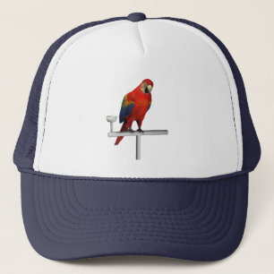Casquette Scarlet Macaw