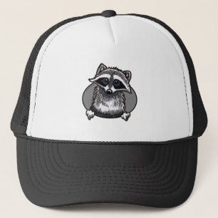 Casquette Schéma raton laveur