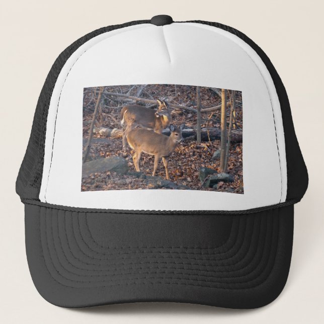 Casquette Série Young Whitetail Deer (Devant)