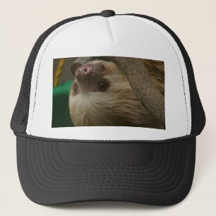 Casquette Sloth