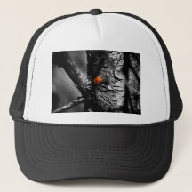sourire pour une coccinelle