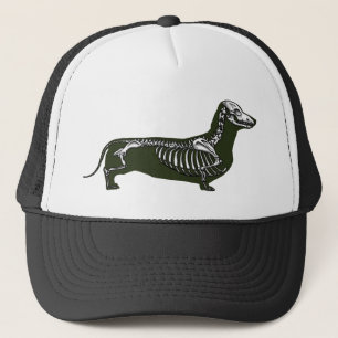 Casquette squelette de teckel
