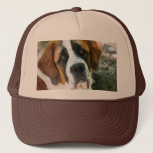 Casquette St Bernard