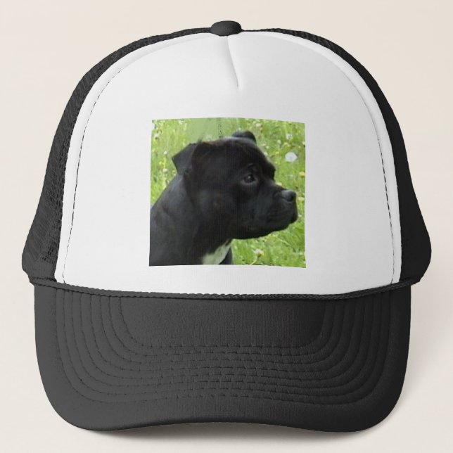 Casquette staffy.png (Devant)