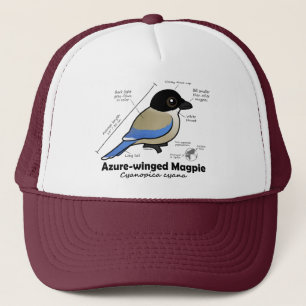Casquette statistiques Azur-à ailes de pie