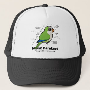 Casquette Statistiques de perruche de moine