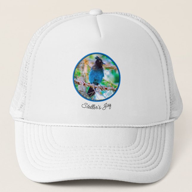 Casquette Steller's Jay - Photographie originale (Devant)