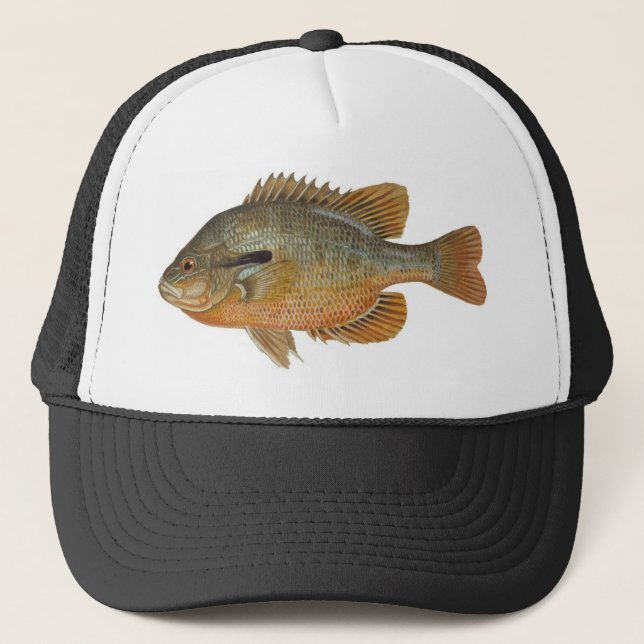 Casquette Sunfish de rouge-gorge - auritus de Lepomis (Devant)