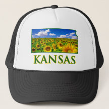 Sunflower Sky de Kansas