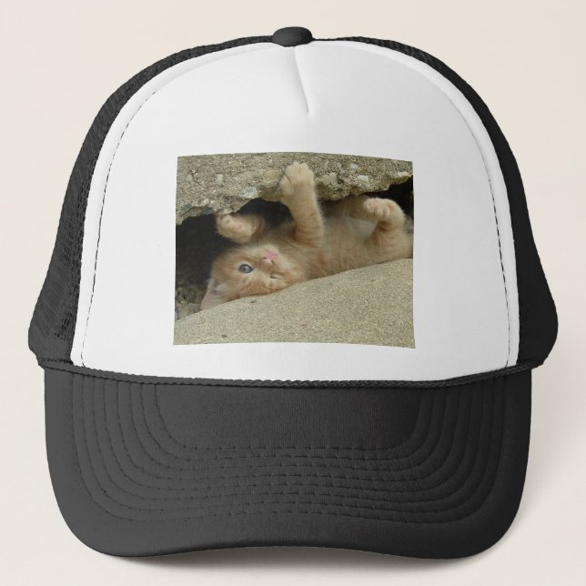 Casquette Super Hero Orange Tabby Kitten (Devant)