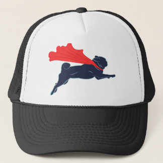 Casquette superbe de carlin