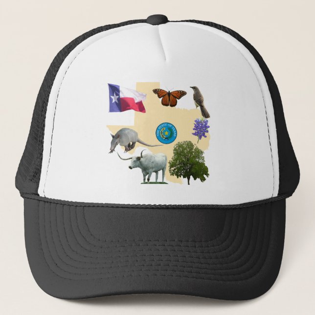 Casquette Symboles d'état du Texas (Devant)
