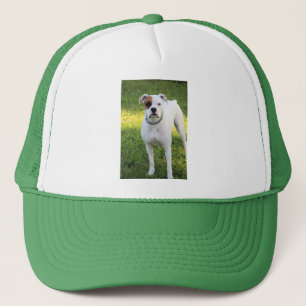 Casquette T-shirt boîte