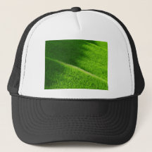 Terrasses de riz Yamada's Rice Fields Japon