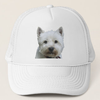 Casquette Terrier des montagnes occidental