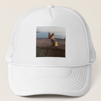Casquette Terrier du Yorkshire