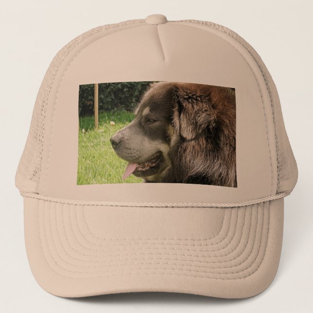 Casquette Tibétain mastiff.png (Devant)
