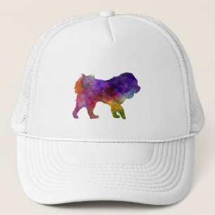Casquette Tibetan Ma in watercolor.png