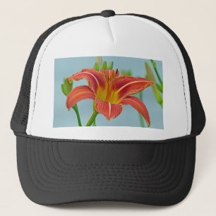 Casquette Tiger Daylily