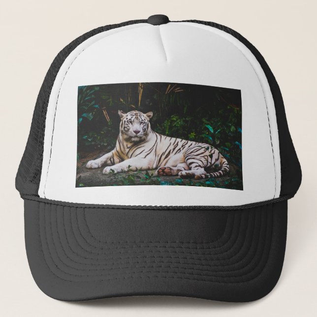 Casquette Tigre (Devant)