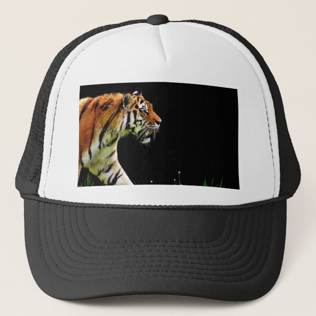 Casquette Tigre approchant - Oeuvres d'art d'animaux sauvage (Devant)