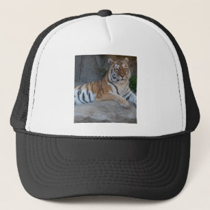 Casquette Tigres du Bengale