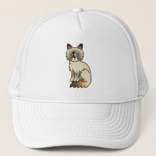 Casquette Tortie Point Birman / Ragdoll Cat