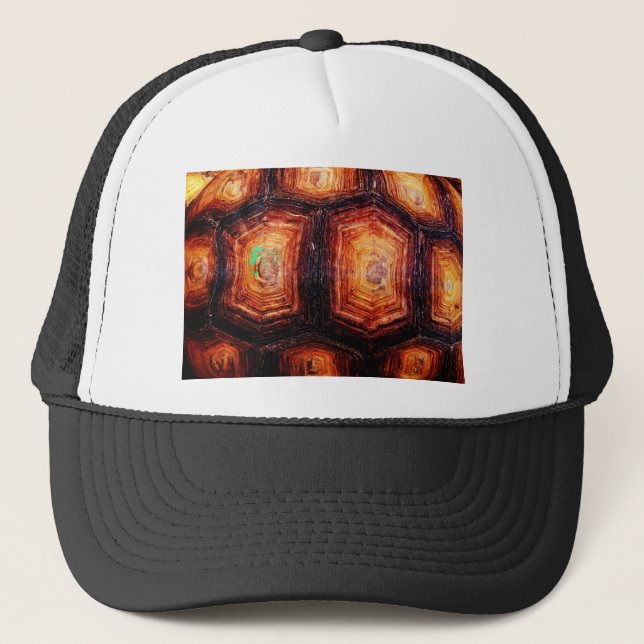 Casquette Tortois (Devant)