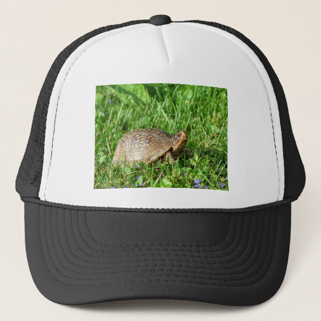 Casquette Tortue (Devant)