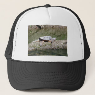 Casquette Tortue